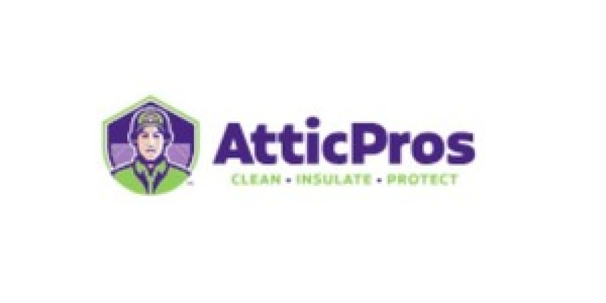 Attic Rodent Problems? Here’s How Bay Area Homeowners Can Fix Them Fast