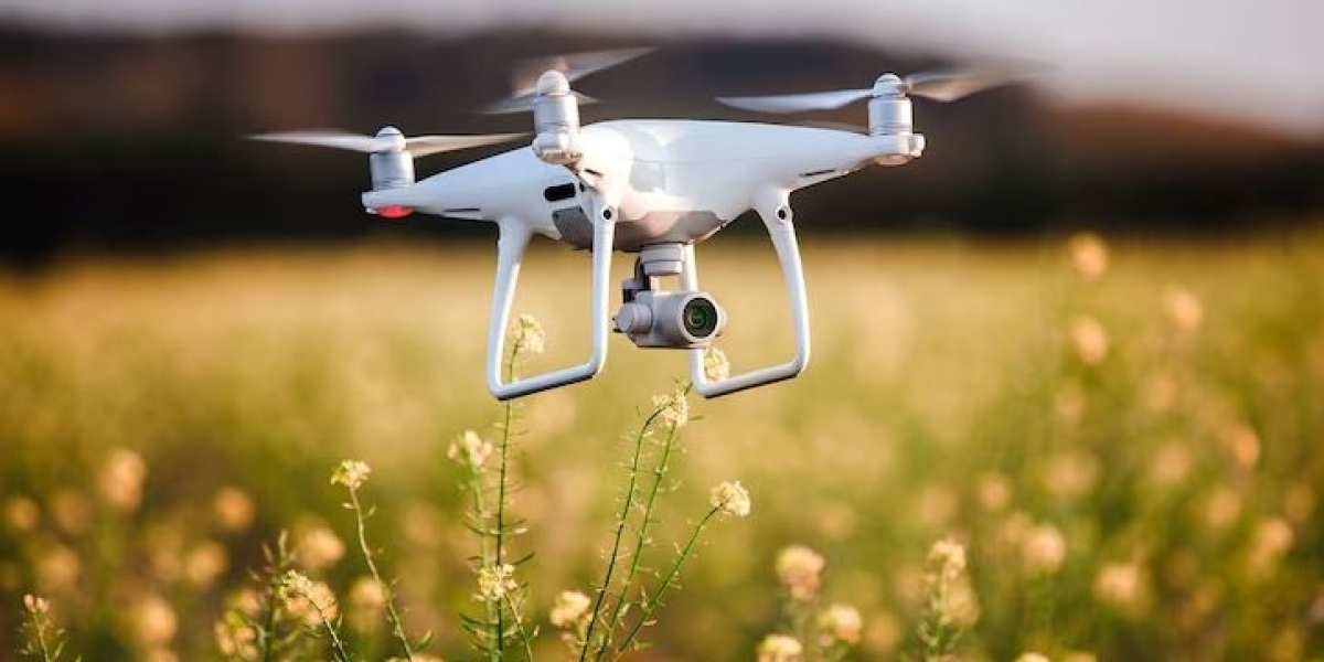 Mexico Drones Market Share & Future Size Outlook 2025–2033
