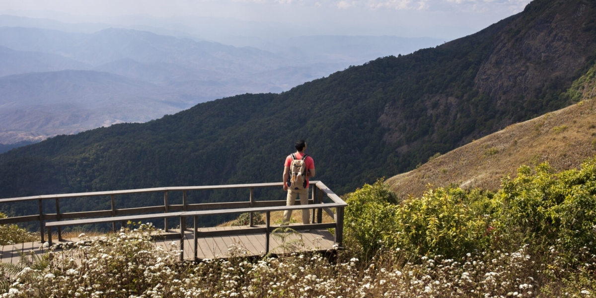 Discover the Best Places to Travel in Argentina for Nature and Wildlife Lovers