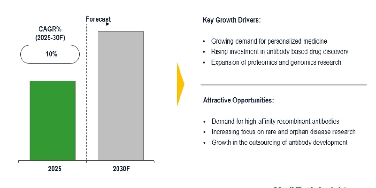 Global Custom Antibody Market projected 10% CAGR with personalized drug development 2030