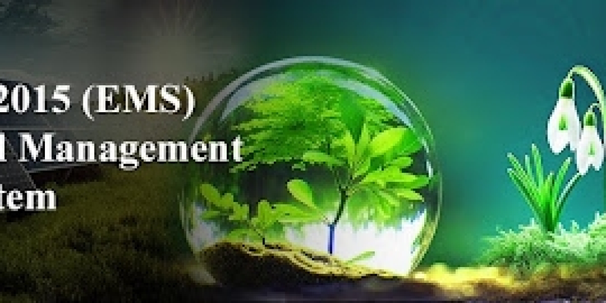 Requirements for ISO 14001 Certification