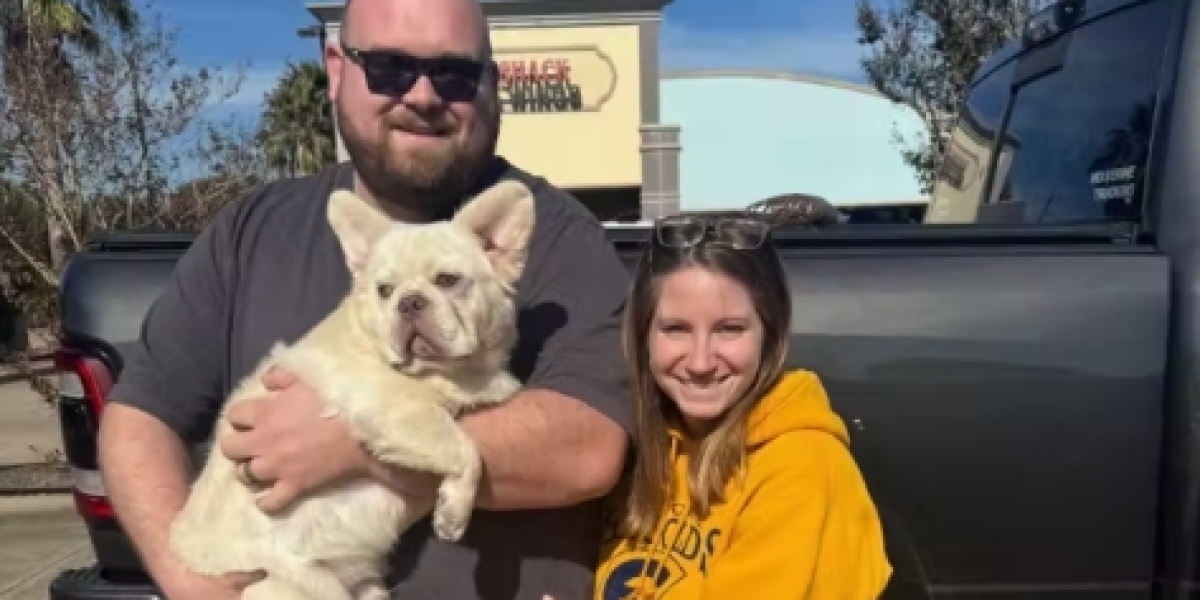 Dog Registration Demystified: How to Legally Document Your Pet’s Identity