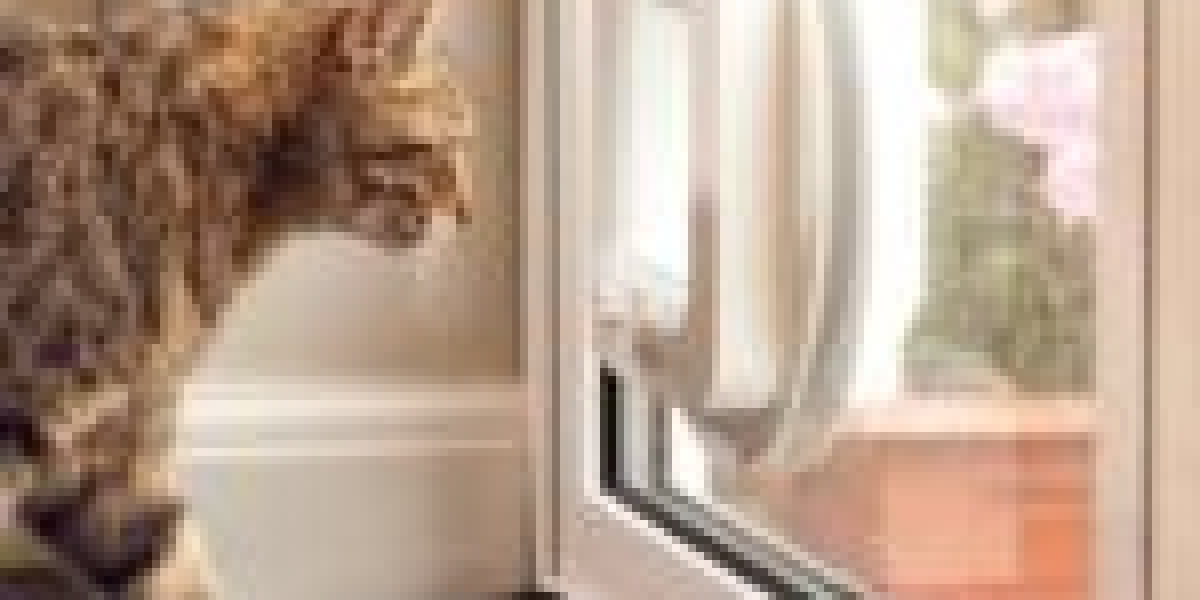 Watch Out: What Outdoor Cat Door Installer Is Taking Over And What You Can Do About It