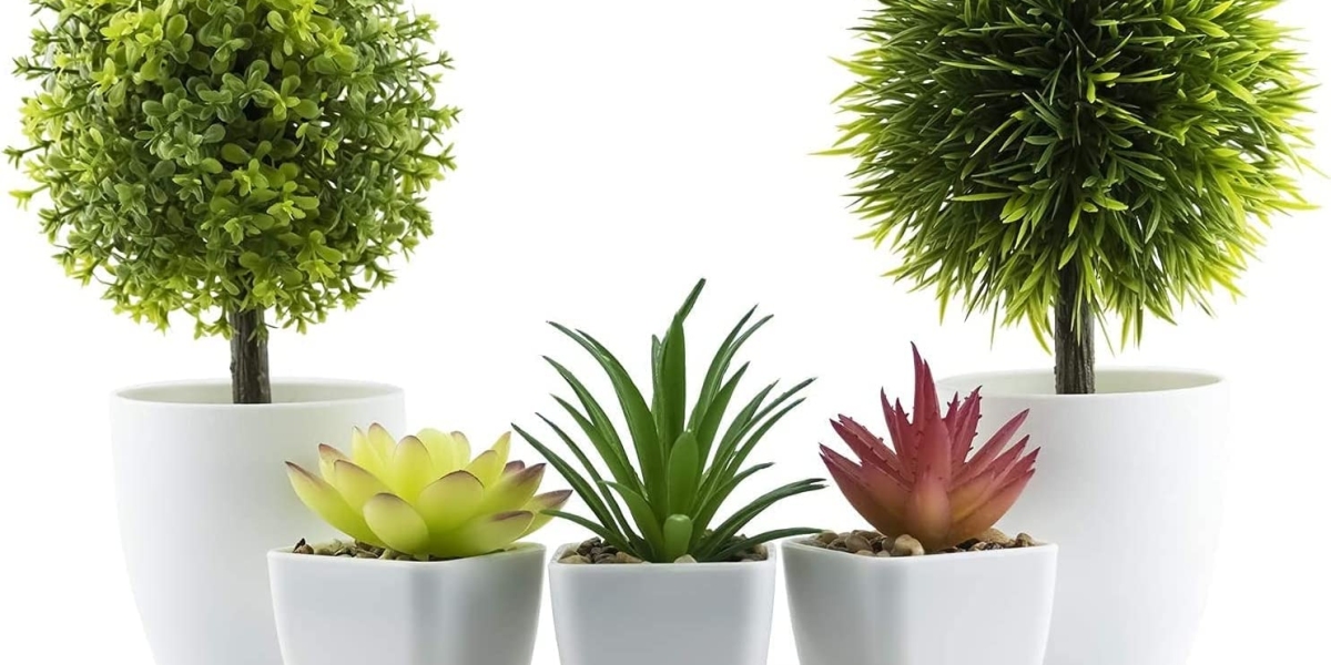 Artificial Plants Market Scenario Reflecting Innovations, Sustainability Factors, and Long-Term Business Growth Potentia