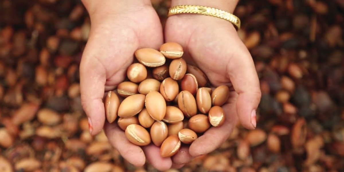 Argan Oil Market Competition Analysis Highlighting Key Players, Strategies, Growth, and Global Industry Dynamics