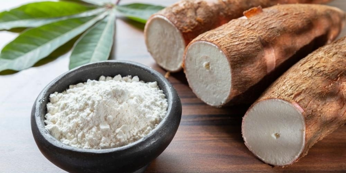Native Starch Market Strategies Driving Innovation, Sustainability, and Regional Expansion Across Industries