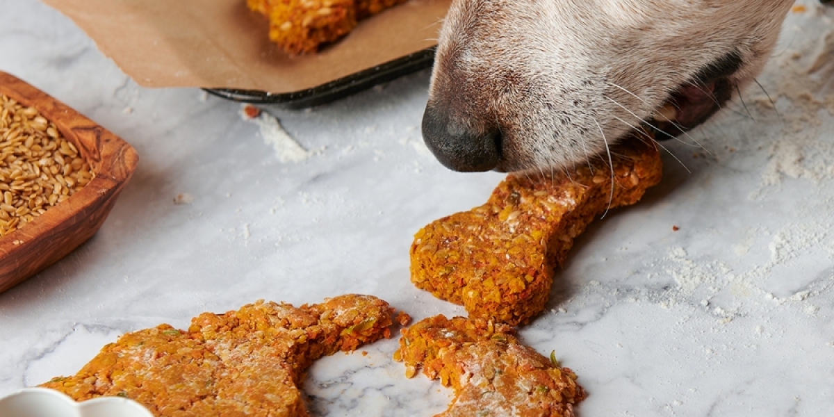 Vegan Dog Food Market Intelligence Highlighting Innovations, Growth Strategies, and Consumer Adoption Worldwide