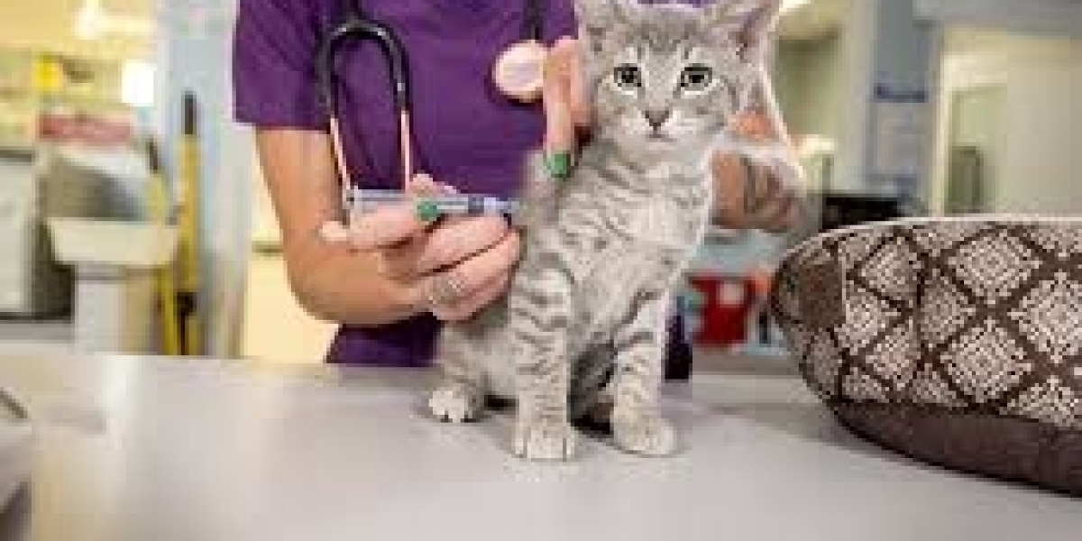 Veterinary Vaccines Market Driven by Government Initiatives Supporting Mass Immunization Campaigns in Rural Livestock Fa