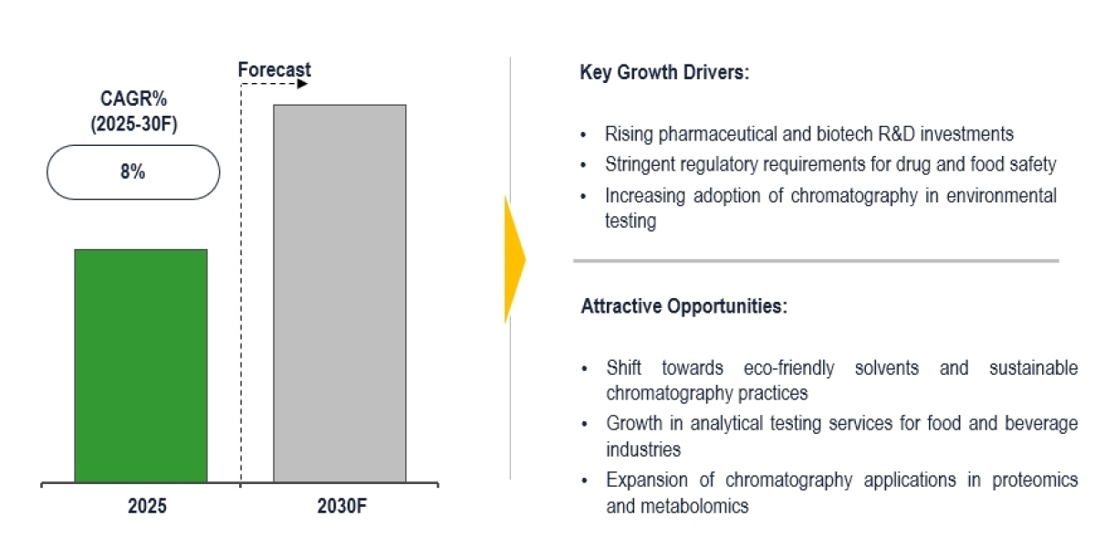 Global Chromatography Reagents Market to Expand 8% CAGR Amid Drug Approval Increase 2030