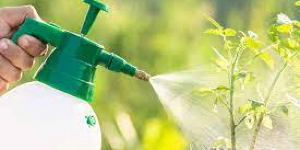 Foliar Spray Fertilizers Market: A Growing Trend in Sustainable Farming