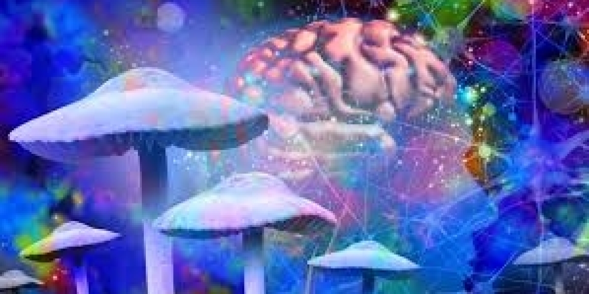 Buy Blue Meanie Mushroom in Australia: A Comprehensive Guide