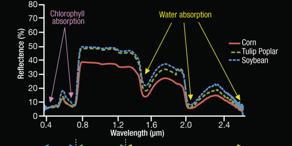 Emerging Trends in Near Infrared Absorbing Materials Market