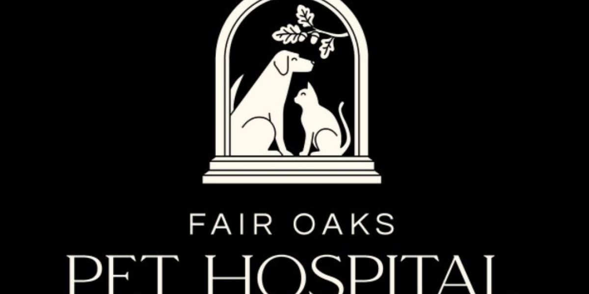 Where Can I Book Same Day Vet Appointments In Fair Oaks