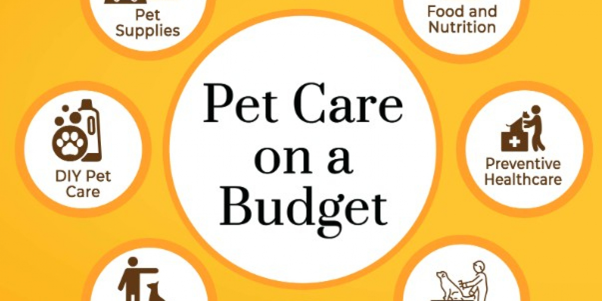 Trusted Animal Hospital in Vancouver | 24/7 Veterinary Care