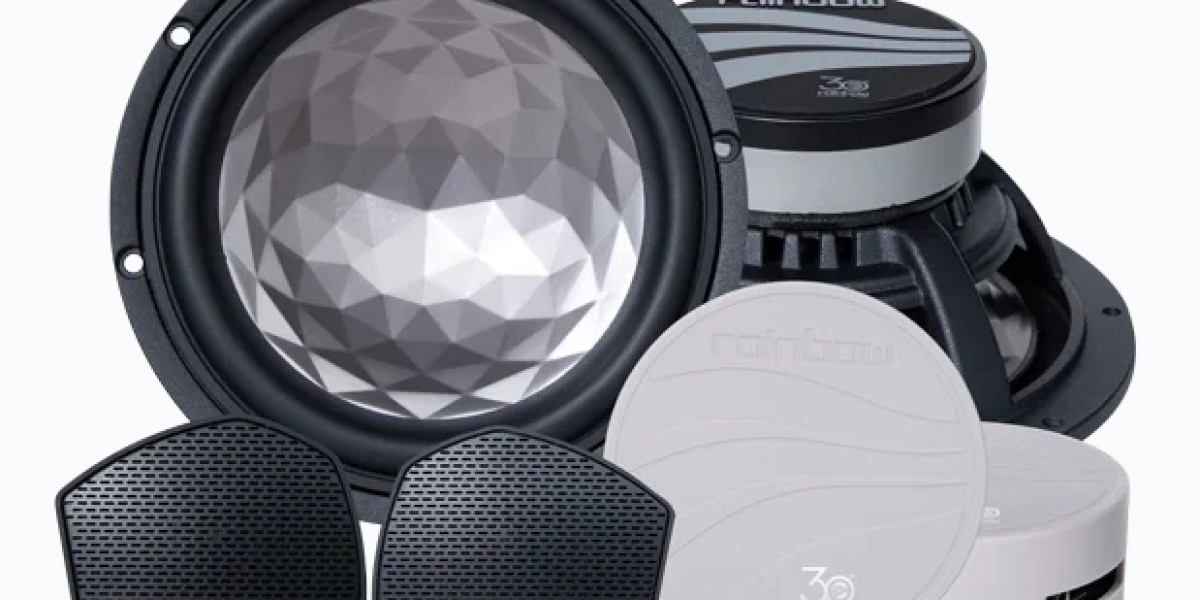 Exploring Rainbow Woofer and Tesla Model 3 Rainbow Audio Systems