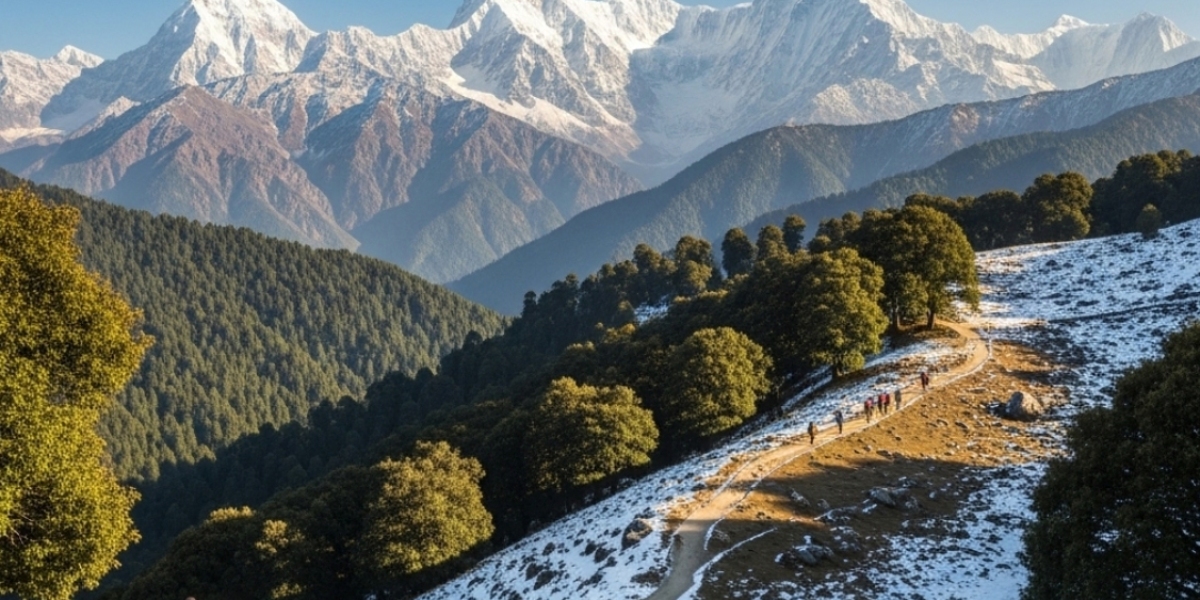 What Makes the Kuari Pass Trek Perfect for Panoramic Himalayan Views?