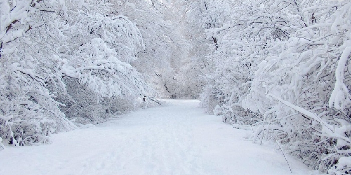 100 Funny Snow Jokes for the Whole Family
