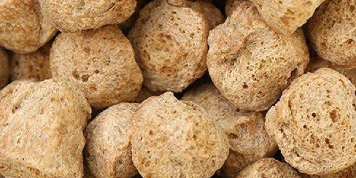 Soya Chunks Manufacturing Plant Setup and Cost Analysis Report
