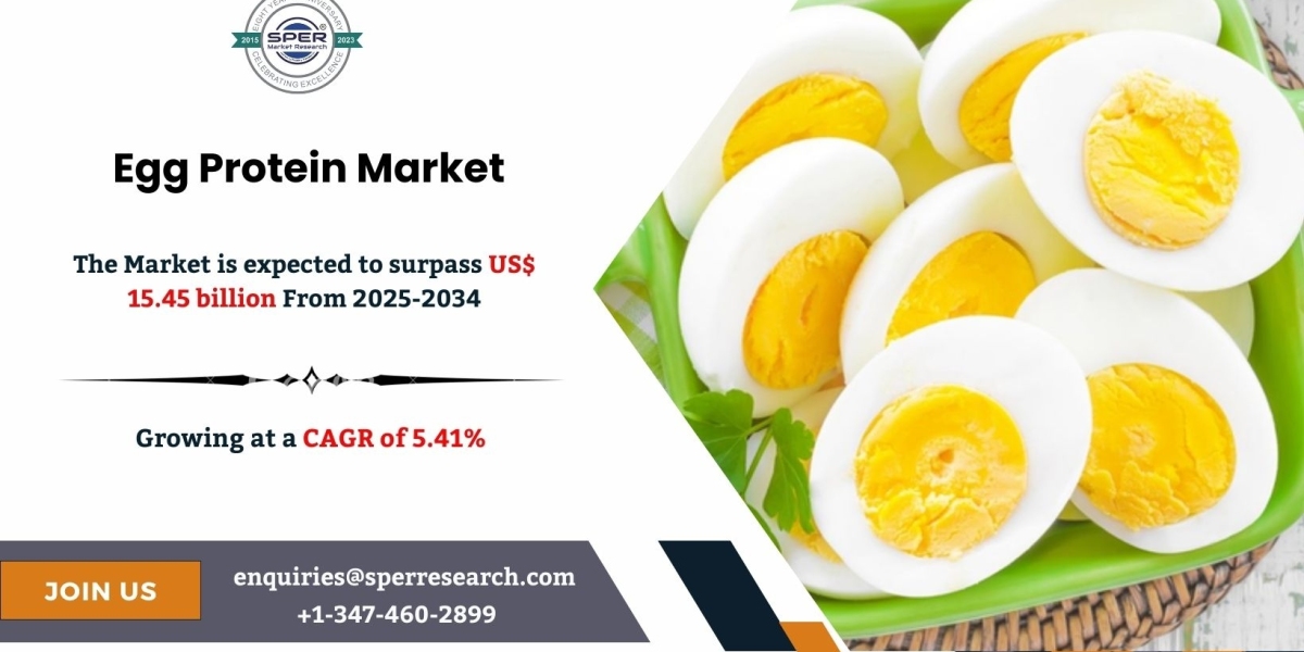 Egg Protein Market Research Highlights and Growth Forecast 2034