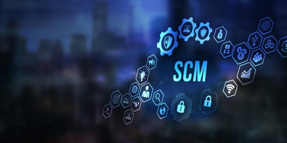 Supply Chain Management (SCM) Software Market Size Analysis, Growth Trends & Forecast to 2033
