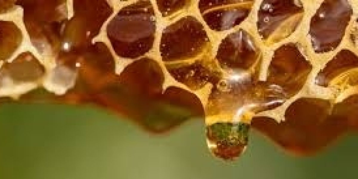 Manuka Honey Market Demand Driving Global Growth Through Wellness, Nutrition, and Premium Quality Products
