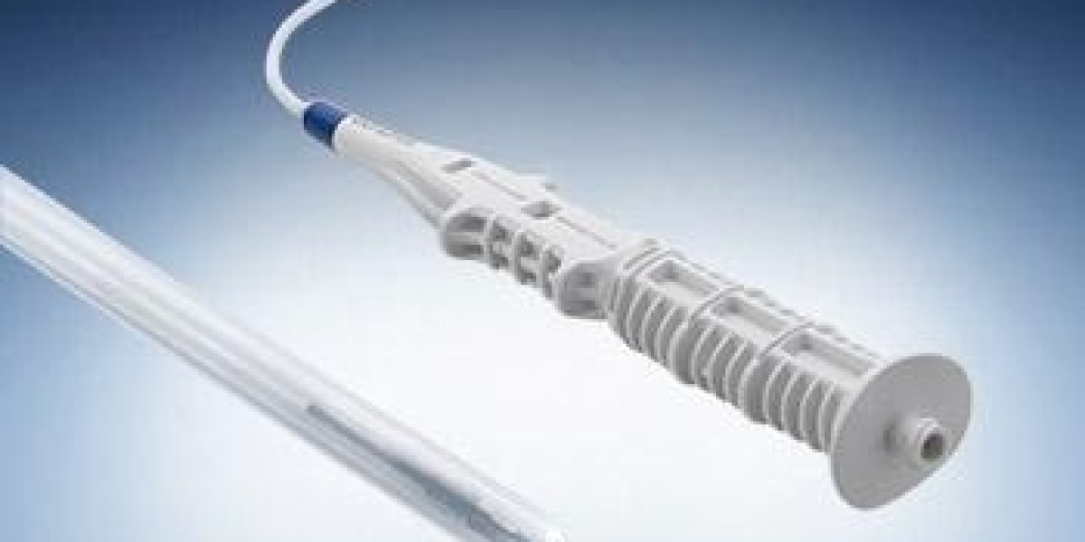 Global Colonoscopy Devices Market Size and Forecast 2020 - 2033