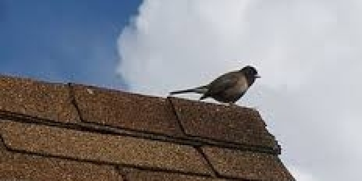 Asphalt Shingles Market witnessing consistent growth driven by urbanization, sustainability, and innovative roofing mate