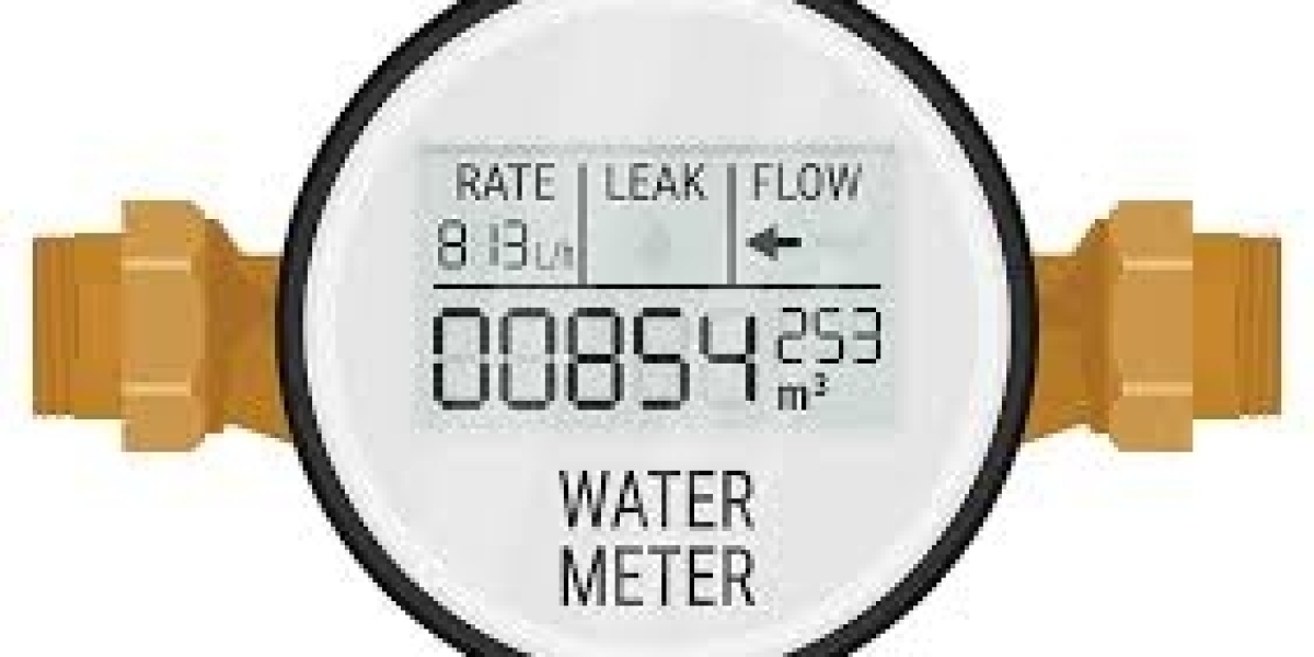 Smart Water Meter Market long-term outlook shaping sustainable water management and global efficiency