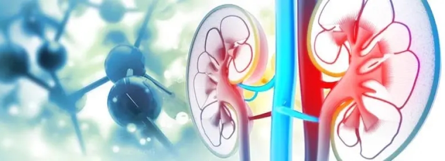 North Delhi Uro Gynae Clinic