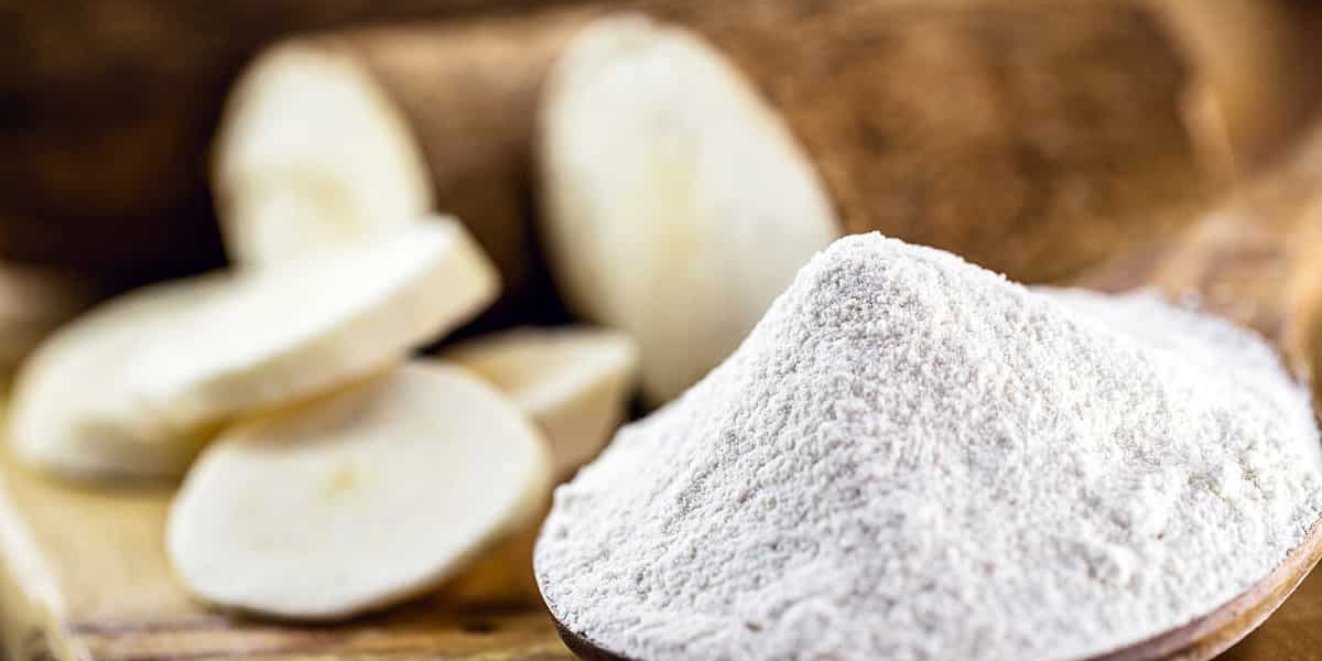 Roll-Dried Starch Market Inhibitors Impacting Growth, Costs, Regulations, and Competitive Pressures Globally