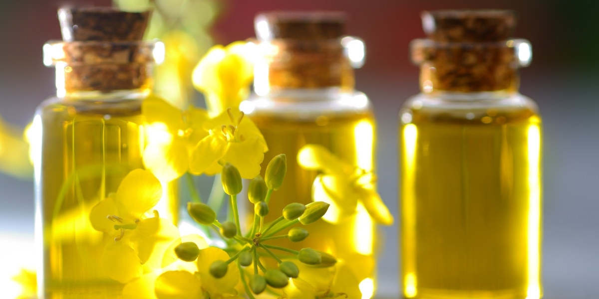 Rapeseed Oil Market Competition Analysis Exploring Rivalry, Differentiation, and Strategic Growth Opportunities