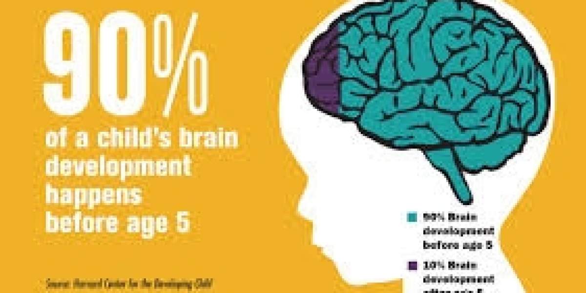 Why Early Childhood Matters for Brain Development