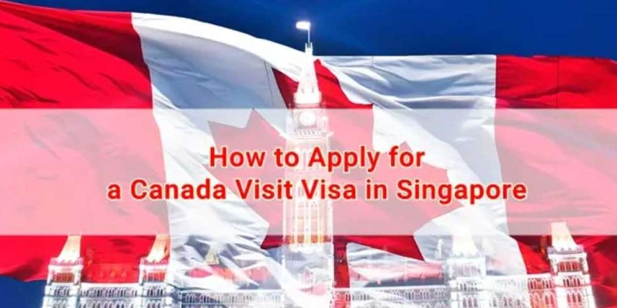Everything You Need to Know About Applying for a New Zealand Visa from Singapore