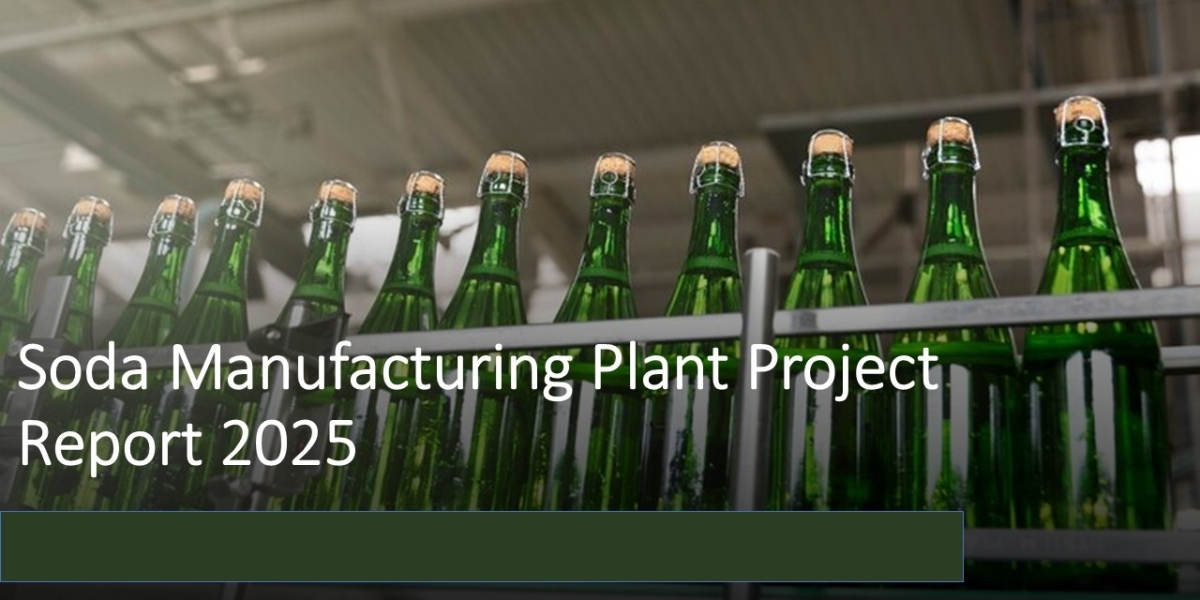 Comprehensive Approach to Setting Up a Soda Manufacturing Plant | IMARC Group Report