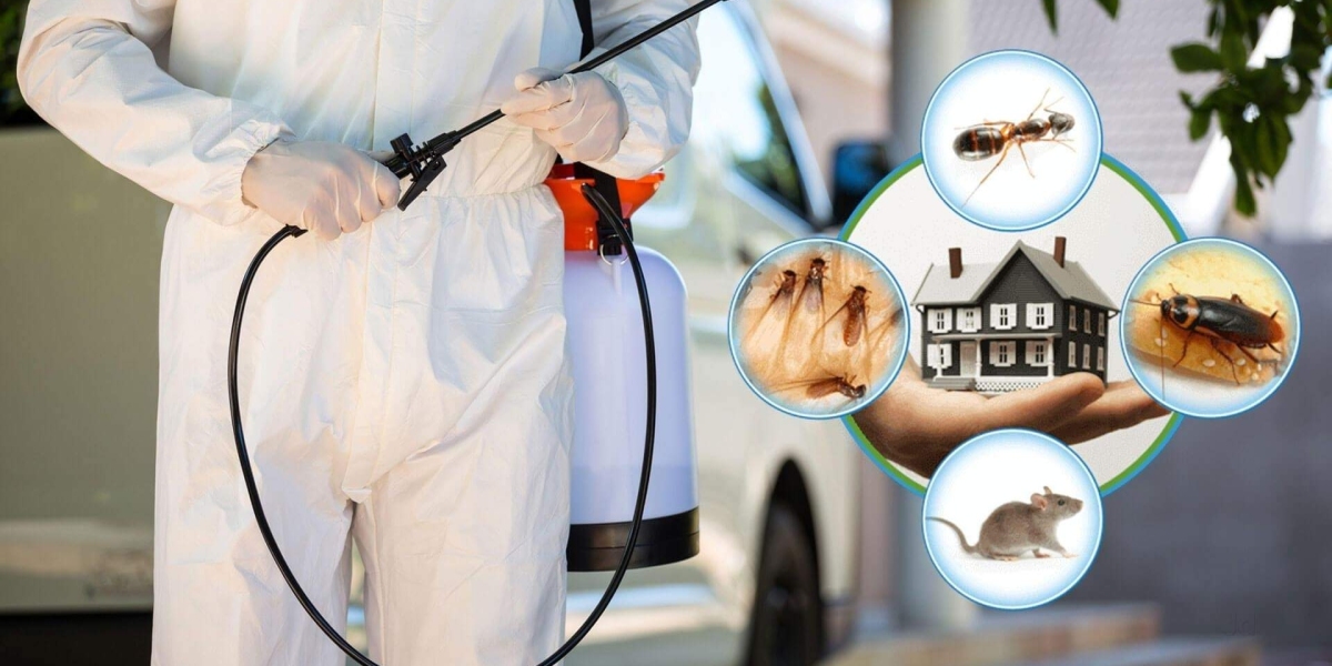 Effective Pest Management Solutions for a Healthier Home