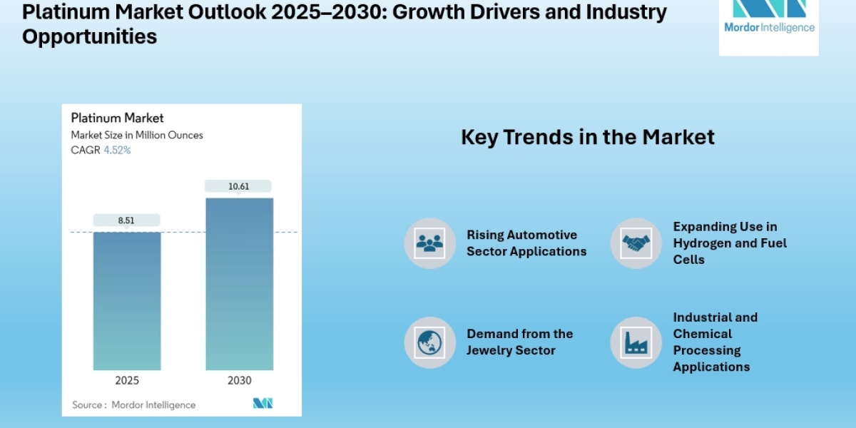 Platinum Market Growth Outlook: Steady Expansion Expected Through 2030