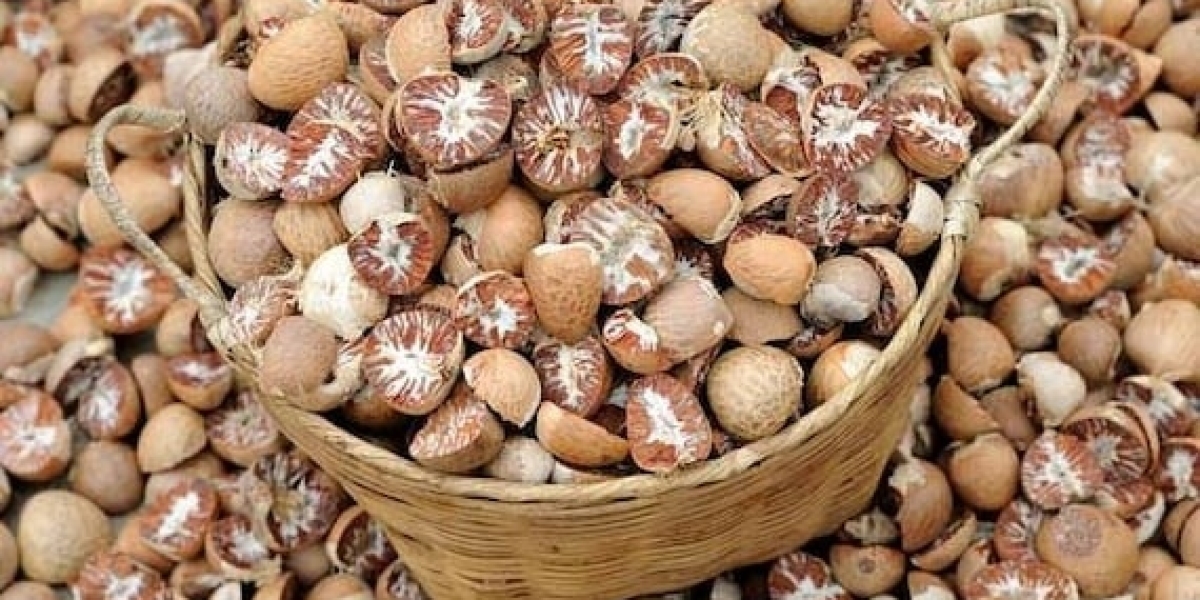 Roadmap for Setting up a Areca Nut Processing Plant Project | Report by IMARC Group