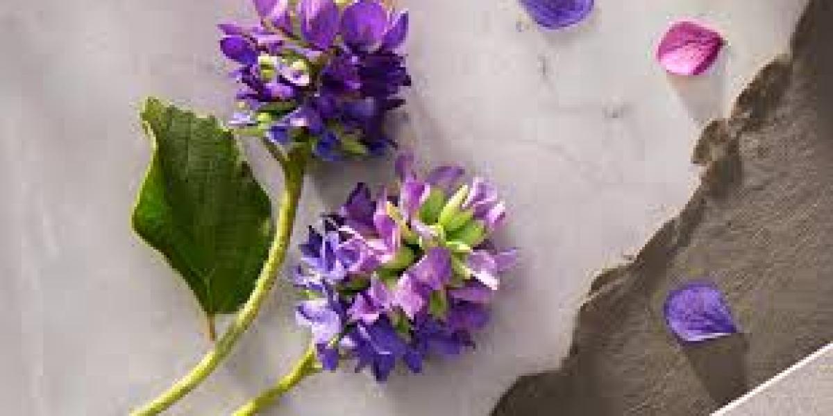 Bakuchiol Market research highlighting long-term outlook and emerging opportunities globally