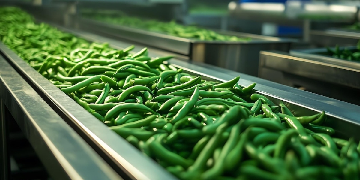 Prefeasibility Report on a Snap Pea Processing Plant Project Setup Cost and Requirements