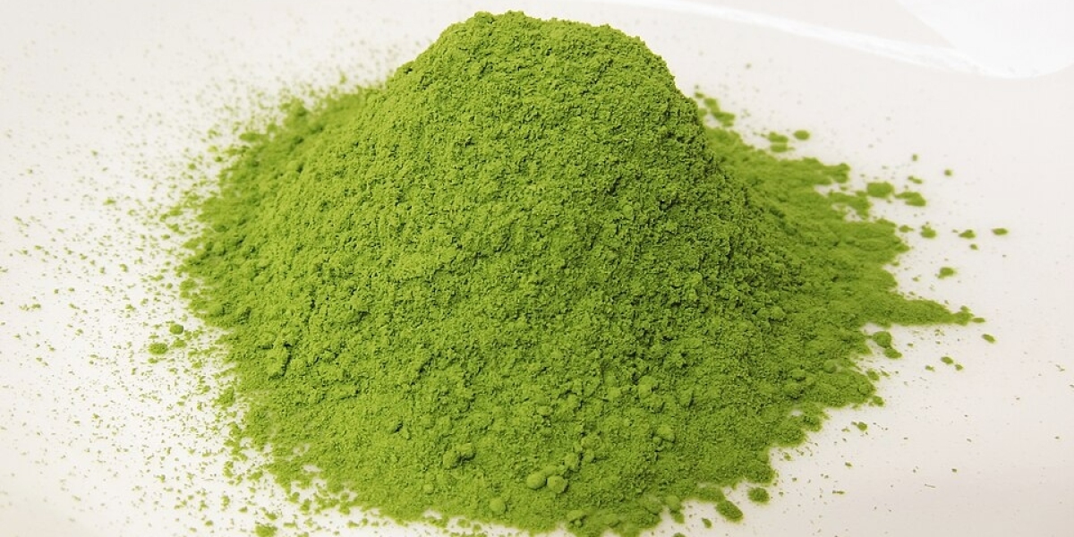 Marine Enzymes Market Potential: Case Studies Driving Industrial Transformation
