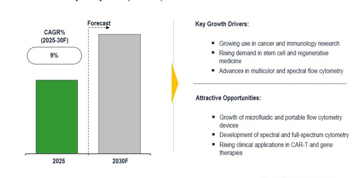 Global Flow Cytometry Market Outlook Forecasts 9% CAGR Rise Driven by Oncology Demand 2030