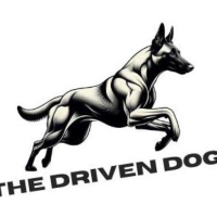 High Energy Dog Trainer Secrets for Happy Pups – The Driven Dog