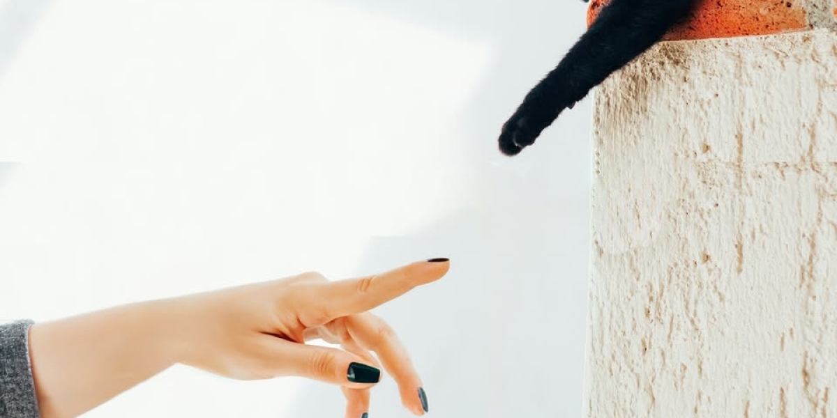 Coping with the Loss of a Pet: Understanding Grief and Finding Healing