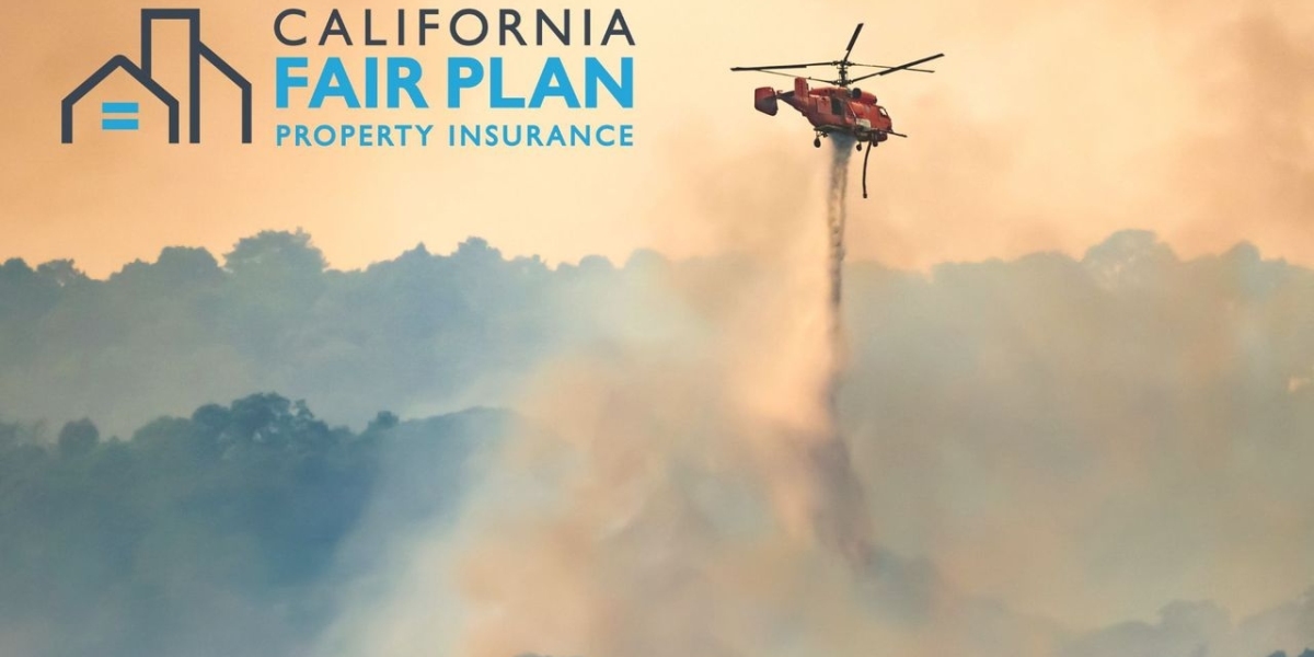 Auto Insurance Rates – Analytical Insights and Risk Mitigation Strategies