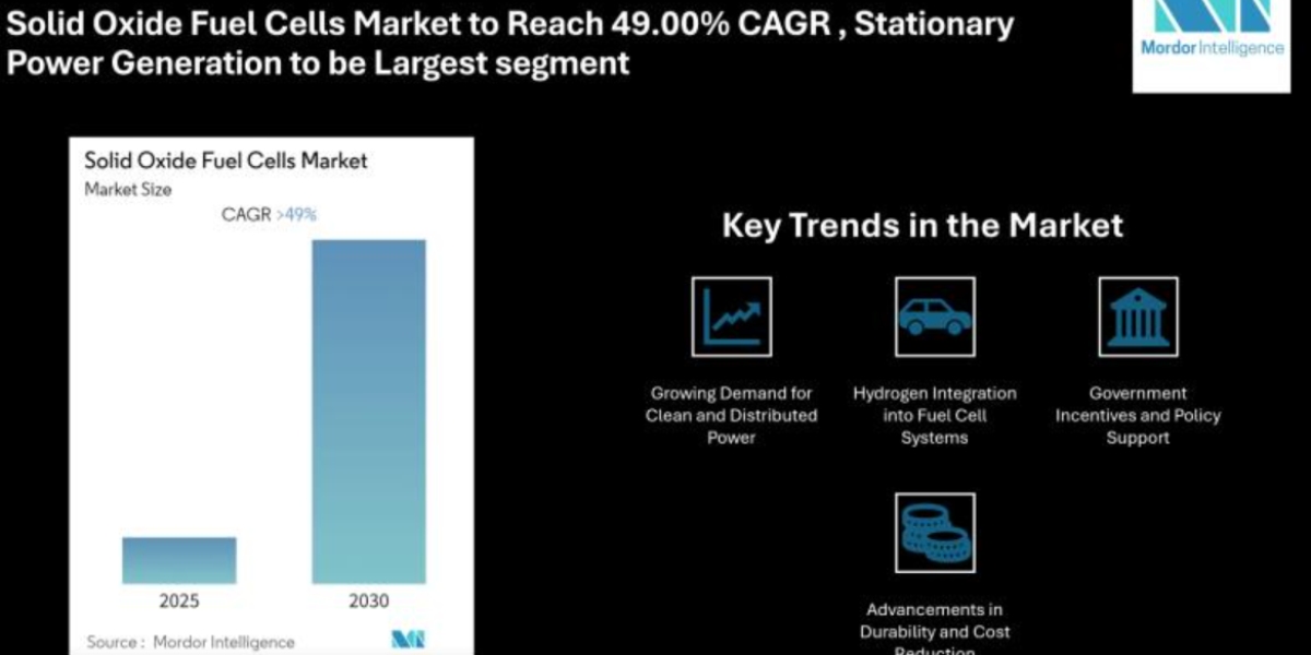 Why the Solid Oxide Fuel Cells Market is Growing at a Staggering 49% CAGR — and What It Means for the Future