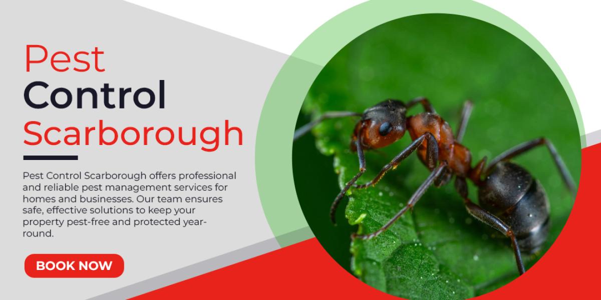 Pest Control in Kitchener: Keeping Your Home & Business Protected