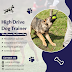 The Driven Dog: How to Choose Belgian Malinois Trainer near me