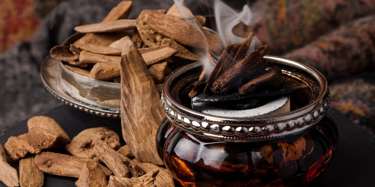 Experience the Magic of Saby Saeed Anwar’s Oud — Pakistan’s Finest Fragrance Brand