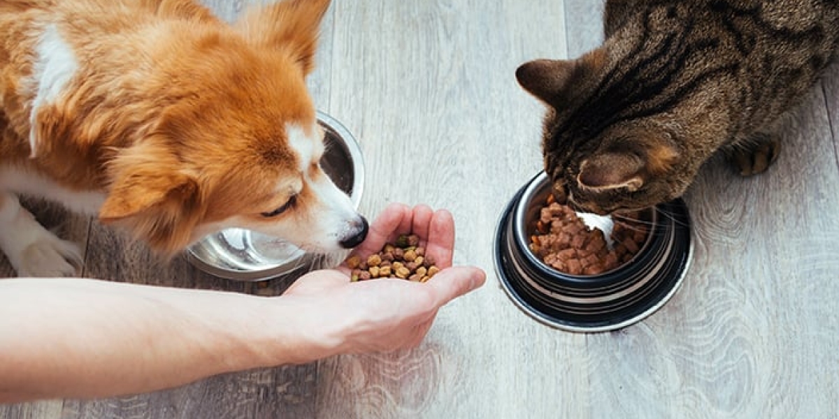 Pet Food Market Insights: Senior Pet Nutrition and Therapeutic Diets Emerging as High-Growth Categories