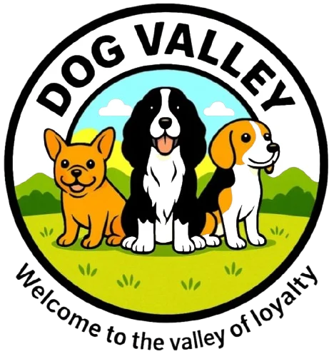 Dog valley